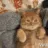 CattoHug