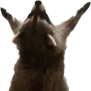 praise