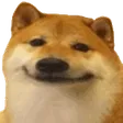 smileDoge