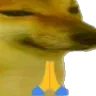 DGprayDoge Discord Emoji