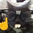 nerdCat