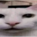 livelivereaction