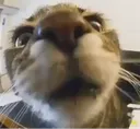 whatdoisee