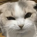 evil_treacherous_malicious