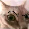 suscat_RS