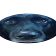 kushiWiderambo
