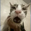 AGONY AGONY