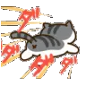 MeowRun