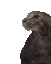 sad