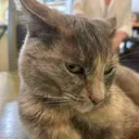 :bombastic_sideeye: :bombastic_sideeye: