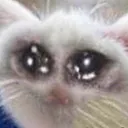 sadnessnoise