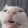 PleaseExplain