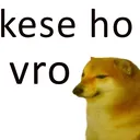 kese_ho_vro