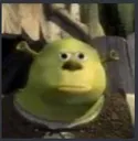 shrekbruh