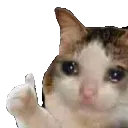 sad_ok_cat Discord Emoji