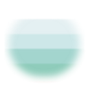 transneufem transneufem