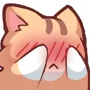 Simp Cat Discord Emoji