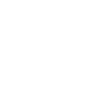 spybirdge