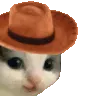 meowdy