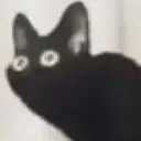 weirdcat
