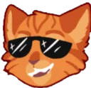Catcool catcool Discord Emoji