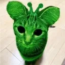 GnarpGnarp