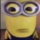 bitchwhat