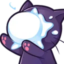 NG_snowhitcat