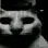 horror
