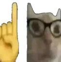 nerdcatpoint