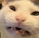 notcrinklecrinkle
