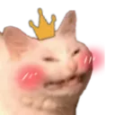Royal_Blush