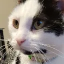 CrinkleCrinkle