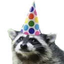 sm_partyRaccoon Discord Emoji