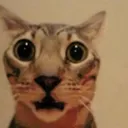 elbauti