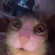 TheEndIsNear