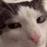 winky