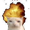 Cat Boom catboom Discord Emoji