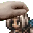 pettheochette