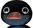 nootnoot