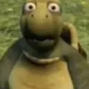 turtle