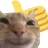Catapprove