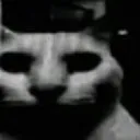 UncannyCat
