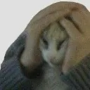 kiki