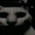 evil