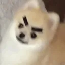 glassesglasses
