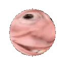 brock_globe Discord emoji