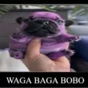 dumbi_wagabagabobo