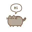 hi_pusheen
