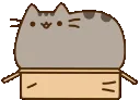 PusheenBox